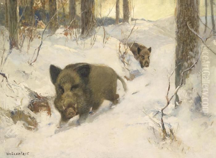 Wild Boar In A Winter Woodland Oil Painting by Alfred Weczerzick