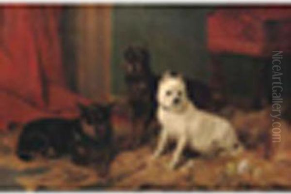 R.a. Twomanchester Terriers 
With An Old English White Terrier Signed Andinscribed ' R. Ansdell Esq, 7
 Victoria, Kensington, On An Old Labelon Reverse, Oil On Canvas 24 X 
36in Oil Painting by Richard Ansdell