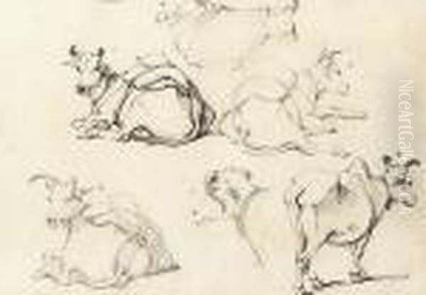 Studies Of Indian Cattle Oil Painting by George Chinnery