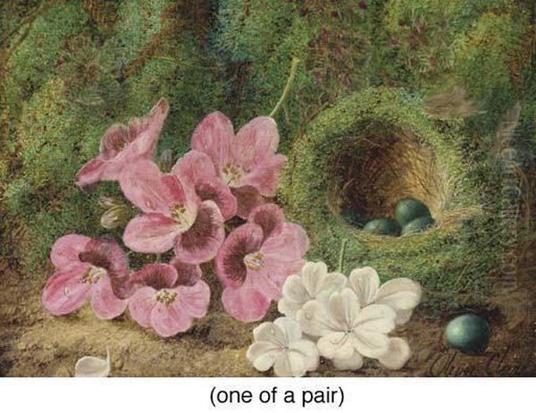 Grapes, Plums, Rasberries, And A
 Strawberry By A Mossy Bank; And Pansies And Violets By A Bird's Nest 
With Eggs On A Mossy Bank Oil Painting by Oliver Clare
