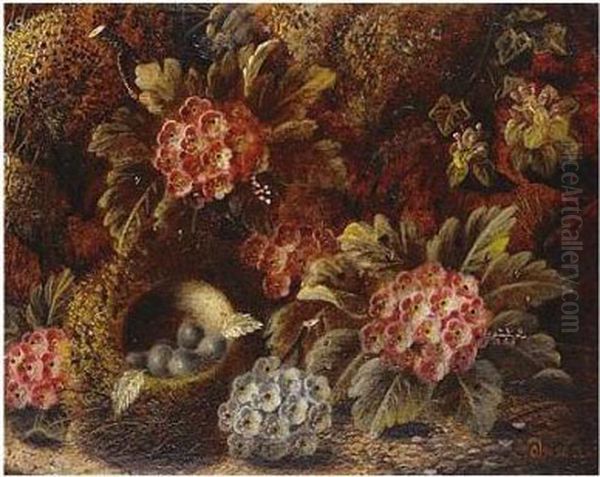Still Life Of Bird's Nest And 
Flowers; Still Life With Fruit, Both Signed, Oil On Board, Each 17 X 
21.5 Cm.; 6 3/4 X 8 1/2 In Oil Painting by Oliver Clare