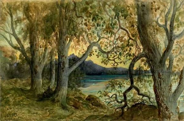 Paysage Lacustre Boise
 Aquarelle Gouachee Sur Trait De Crayon Noir Oil Painting by Gustave Dore