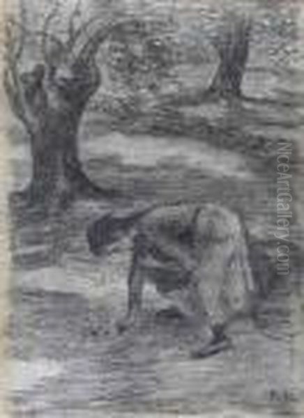 Jeune Femme Ramassant Des Olives Oil Painting by Jean Misceslas Peske