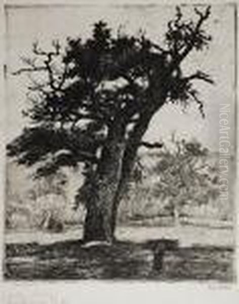 Stary Dab W Barbizon Oil Painting by Jean Misceslas Peske