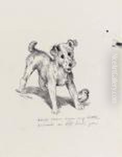 'don't Come Near My Little Friend Or I'll Bite You' Oil Painting by Louis Wain