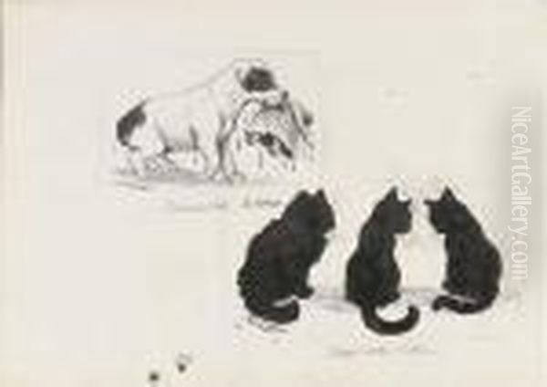 I Rescued Her Oil Painting by Louis Wain