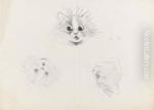 A Startled Kitten And Two Studies Of Cats Recto And A Study Of Catsverso Oil Painting by Louis Wain