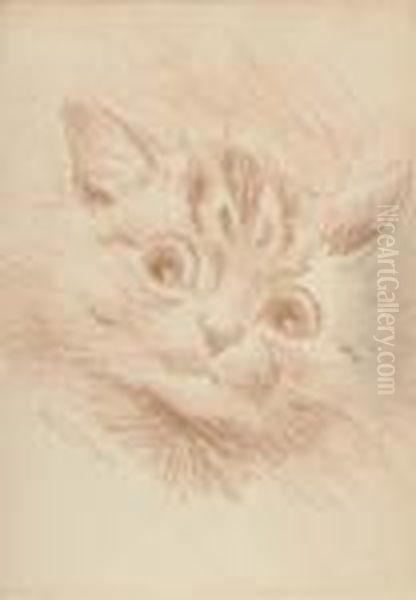 A Cautious Glance Oil Painting by Louis Wain