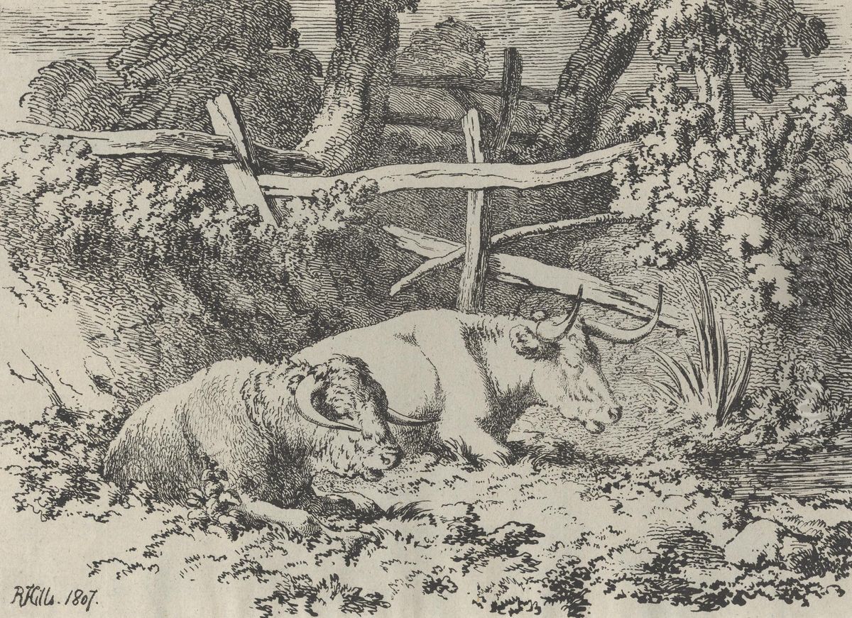 Cattle Resting Oil Painting by Robert Hills