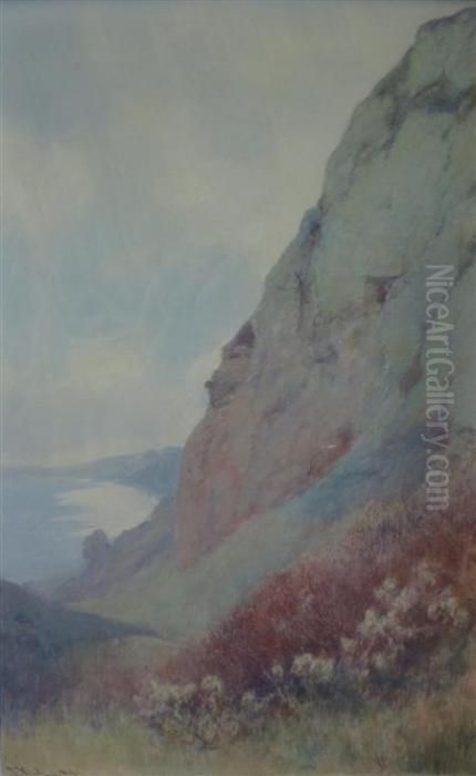 Traveller's Joy, Sidmouth Bay, East Devon Oil Painting by John White