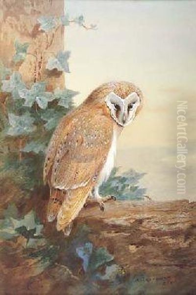 Barn-owl Oil Painting by Archibald Thorburn