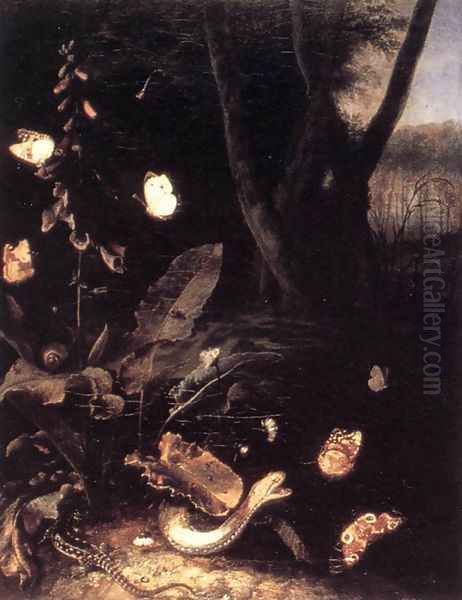 Still-life with Plants and Reptiles Oil Painting by Otto Marseus van Schrieck