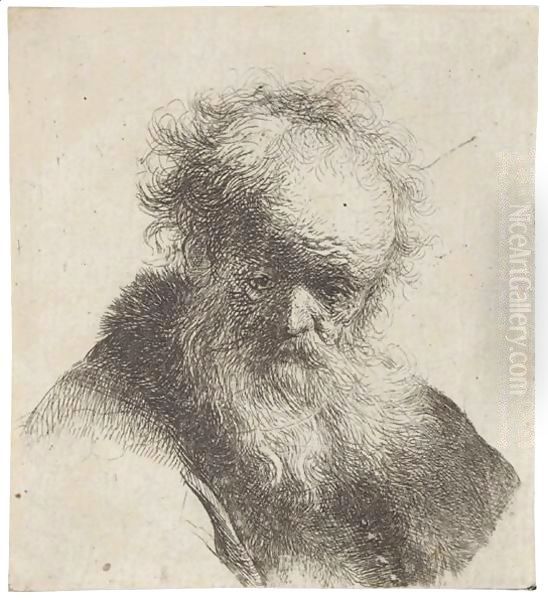 Bust Of An Old Man With Flowing Beard And White Sleeve Oil Painting by Harmenszoon van Rijn Rembrandt
