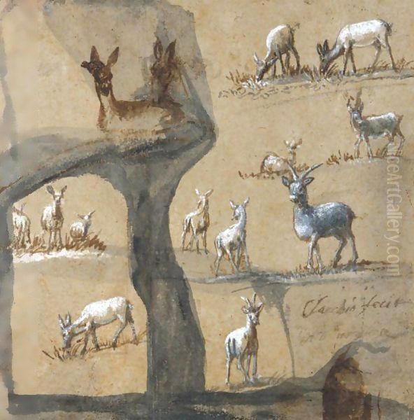 A Sheet Of Studies Of Deer Oil Painting by Claude Lorrain (Claude Gellee)