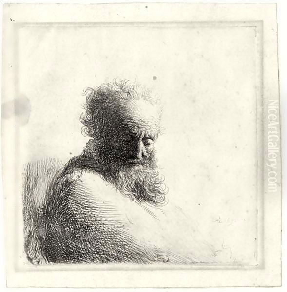 Bust Of An Old Bearded Man, Looking Down, Three Quarters Right Oil Painting by Harmenszoon van Rijn Rembrandt