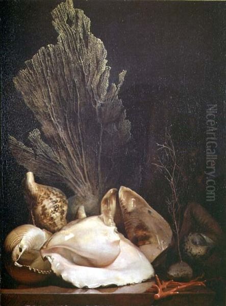 Still Life of Shells and Coral Oil Painting by Antoine Berjon