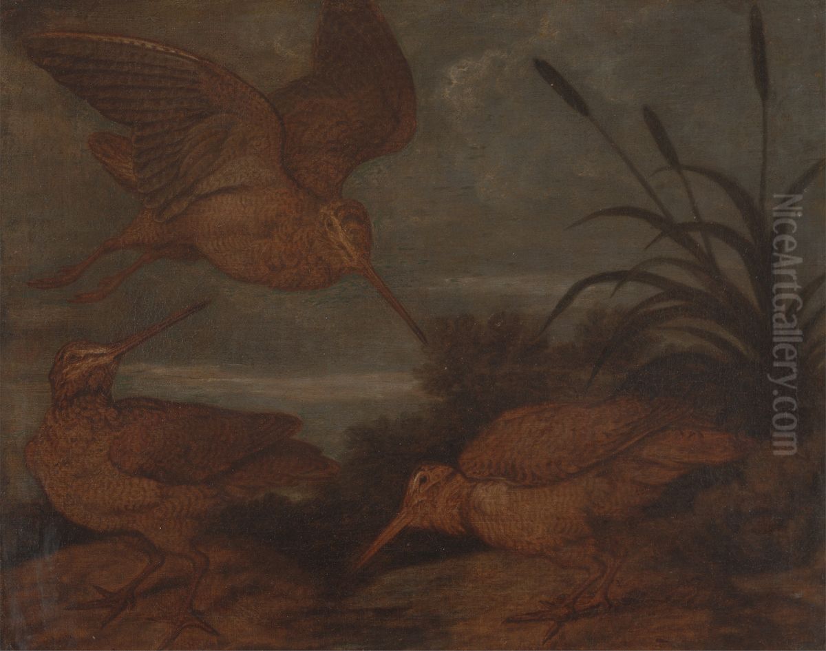 Woodcock at Dusk Oil Painting by Francis Barlow