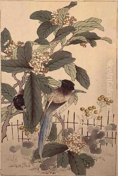 Blue tailed birds among the blossom from Bunrei Kacho Gafu Oil Painting by Kono Bairei