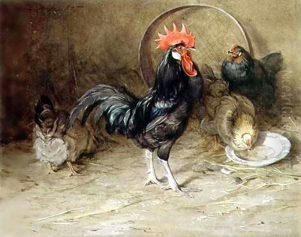The Rooster Oil Painting by Edwin Alexander