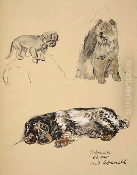 Pekinese, Chow and Spaniel Oil Painting by Cecil Charles Aldin