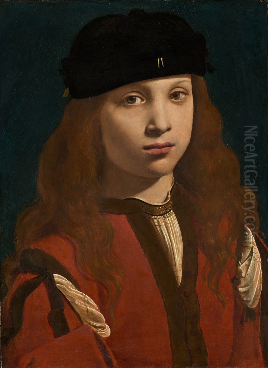 Portrait of a Youth Oil Painting by Giovanni Antonio Boltraffio