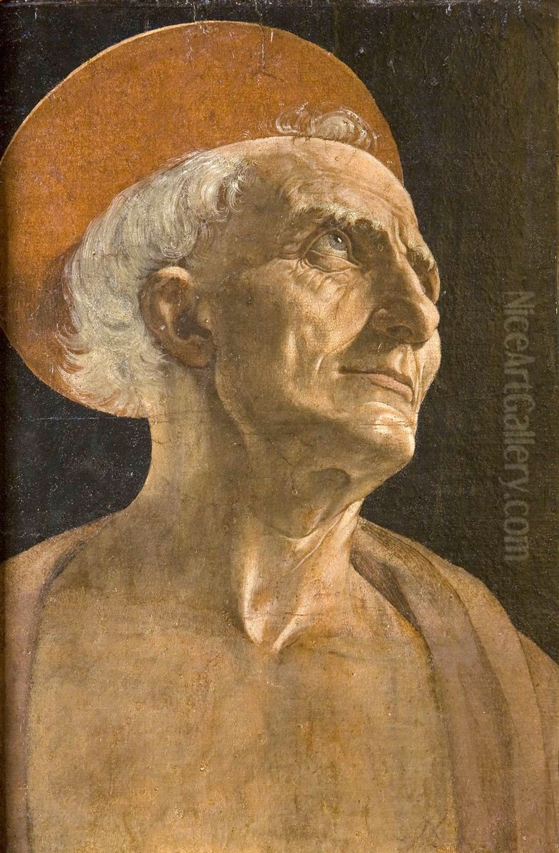 Saint Jerome Oil Painting by Andrea Del Verrocchio