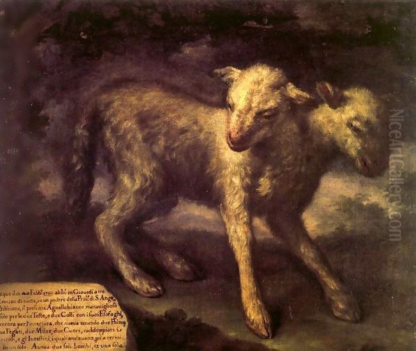 Two-Headed Lamb Oil Painting by Bartolommeo Bimbi