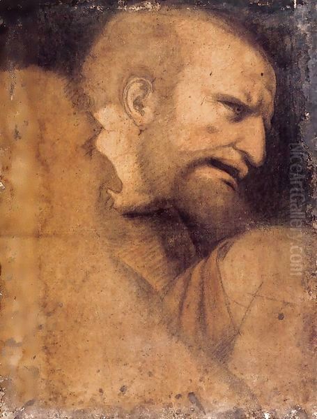 Head of St Peter Oil Painting by Leonardo Da Vinci