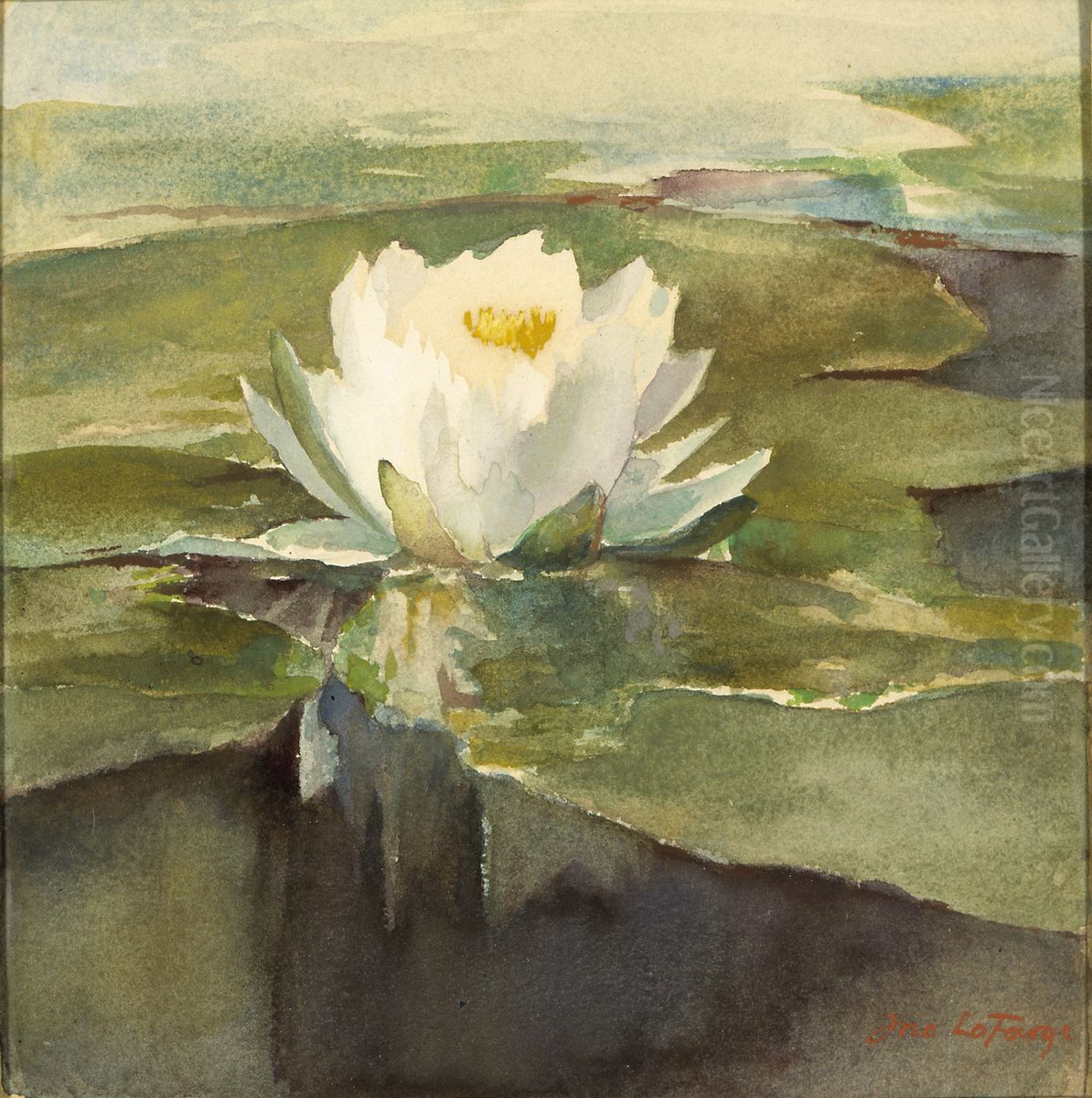 Water Lily in Sunlight Oil Painting by John La Farge