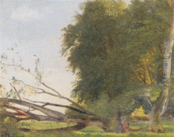 Skovspaette Siddende Pa Et Vaeltet Bogetrae Oil Painting by Carl Frederik Peder Aagaard