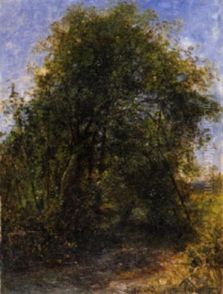 Bosquet Au Bord De L'eau, Effet De Printemps Oil Painting by Jean Alexis Achard