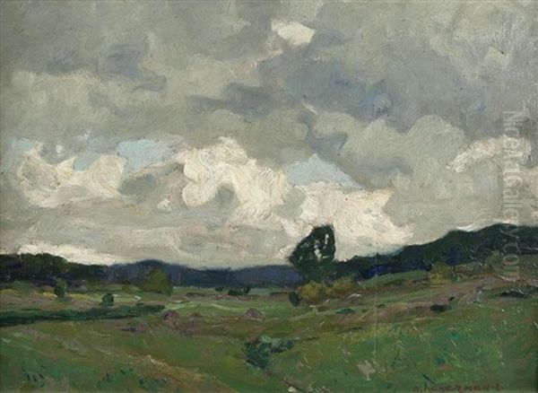 Wiesenlandschaft Oil Painting by Otto Ackermann