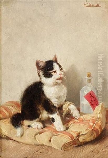 Ein Kleines Katzchen Sitzt Mit Verbundener Pfote Auf Einer Matratze Oil Painting by Julius Adam the Younger