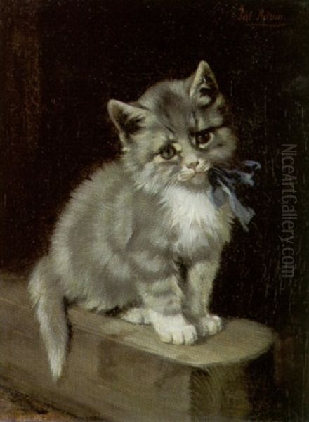 Katzchen Mit Blauer Halsschleife Oil Painting by Julius Adam the Younger