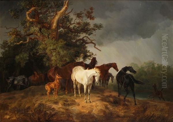 Weidende Pferde Bei Gewitter Oil Painting by Albrecht Adam