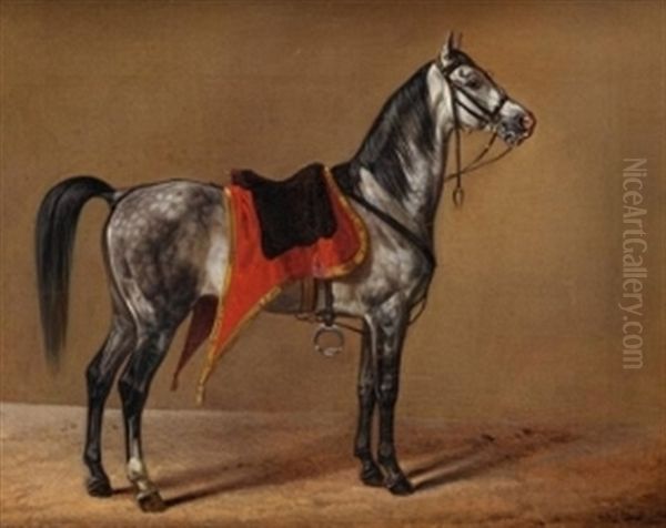 Stehendes Pferd Nach Rechts Oil Painting by Albrecht Adam