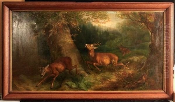 Flucht Der Rehe Vor Dem Jager Oil Painting by Benno Adam