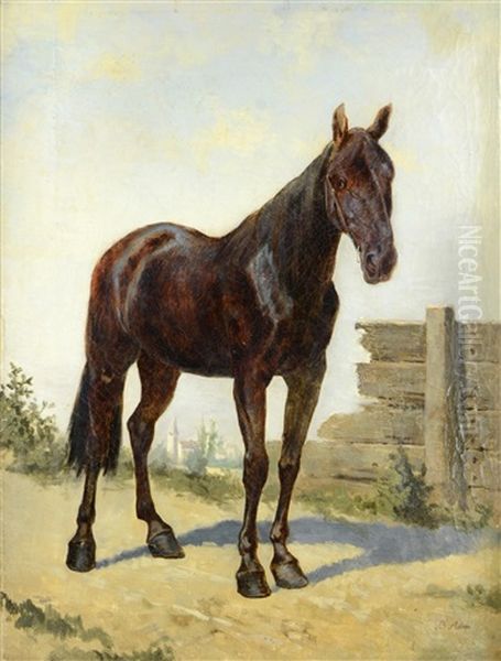 Bay Horse Oil Painting by Benno Adam