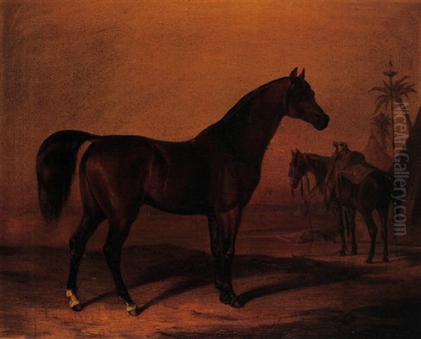 Arabische Pferde In Der Wuste Oil Painting by Benno Adam