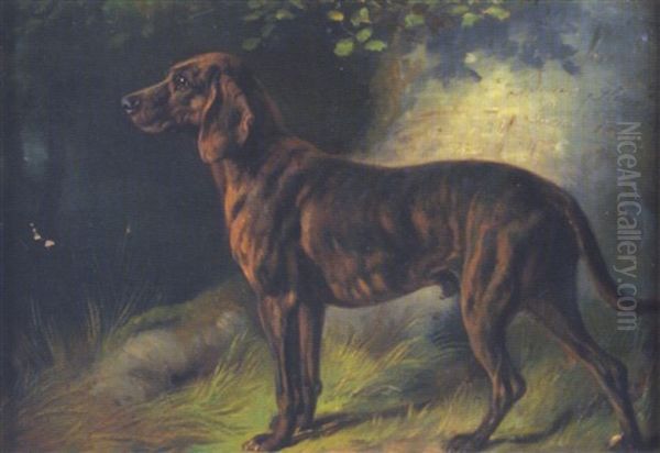 Jagdhund In Waldlandschaft Oil Painting by Benno Adam