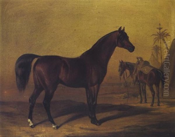 Portrat Eines Pferdes Vor Wustenzelt Und Palme Oil Painting by Benno Adam