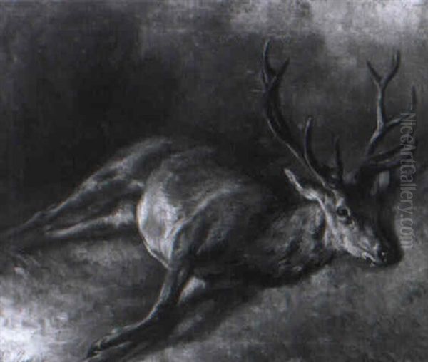 Erlegter Hirsch, Auf Dem Waldboden Liegend Oil Painting by Benno Adam