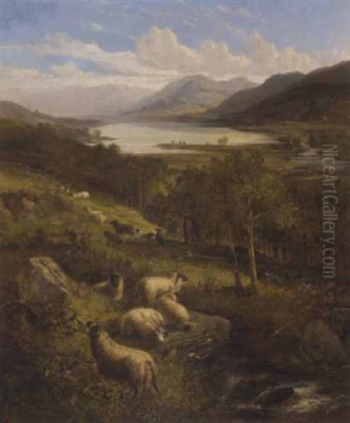 Sheep By A Burn In A Highland Landscape Oil Painting by Joseph Denovan Adam