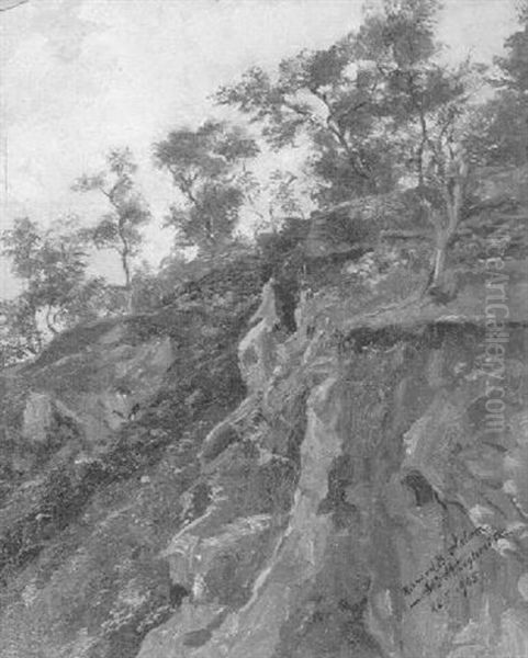 Studie Eines Olivenwaldchens Uber Steilem Felsenhang Oil Painting by Richard Benno Adam