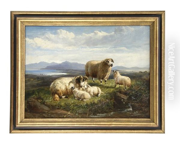 Ruhende Schafe Vor Landschaft Oil Painting by Charles James Adams