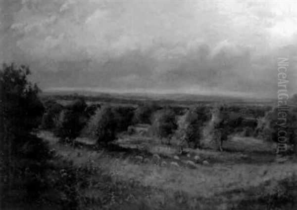 Pastoral Scene With Sheep Oil Painting by John Clayton Adams