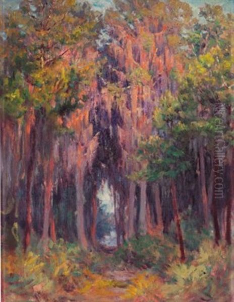 Hanging Moss, St. Petersburg, Florida Oil Painting by John Ottis Adams