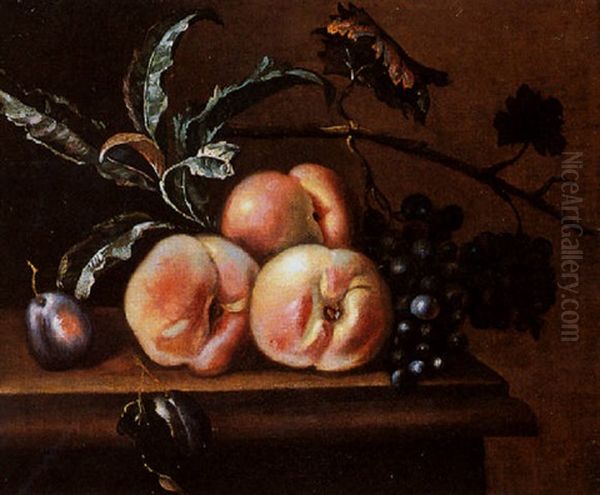 A Still Life With Peaches, Grapes And A Prune, All On A Marble Ledge Oil Painting by Willem Van Aelst