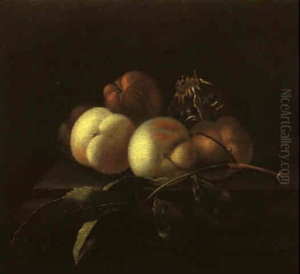 Stilleben Mit Pfirsichen Und Anderen Fruchten Oil Painting by Willem Van Aelst