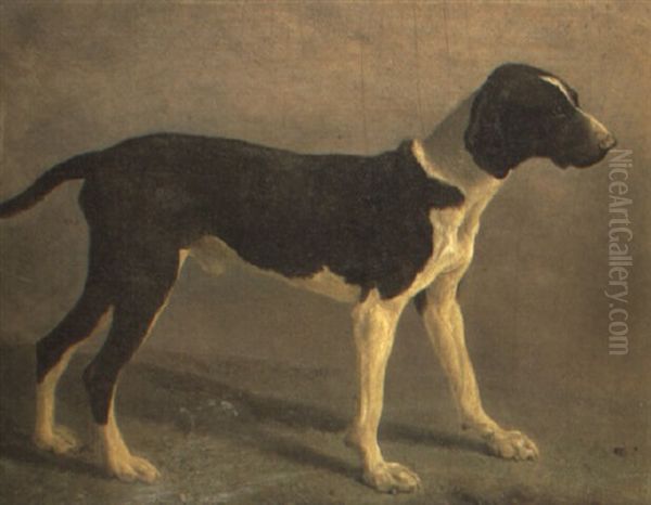 A Pointer Oil Painting by Jacques-Laurent Agasse